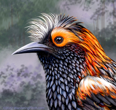 The Honeycreeper sportin' the Best Do