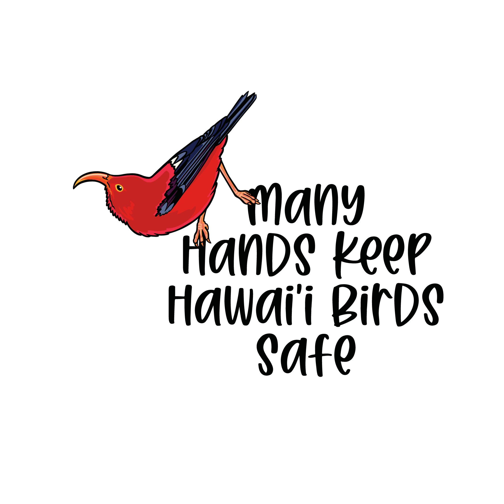 What’s going on with Hawai‘i’s birds? Volunteers | Part 4/4