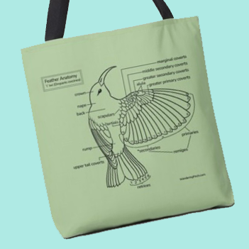 Feather Diagram Tote Bag