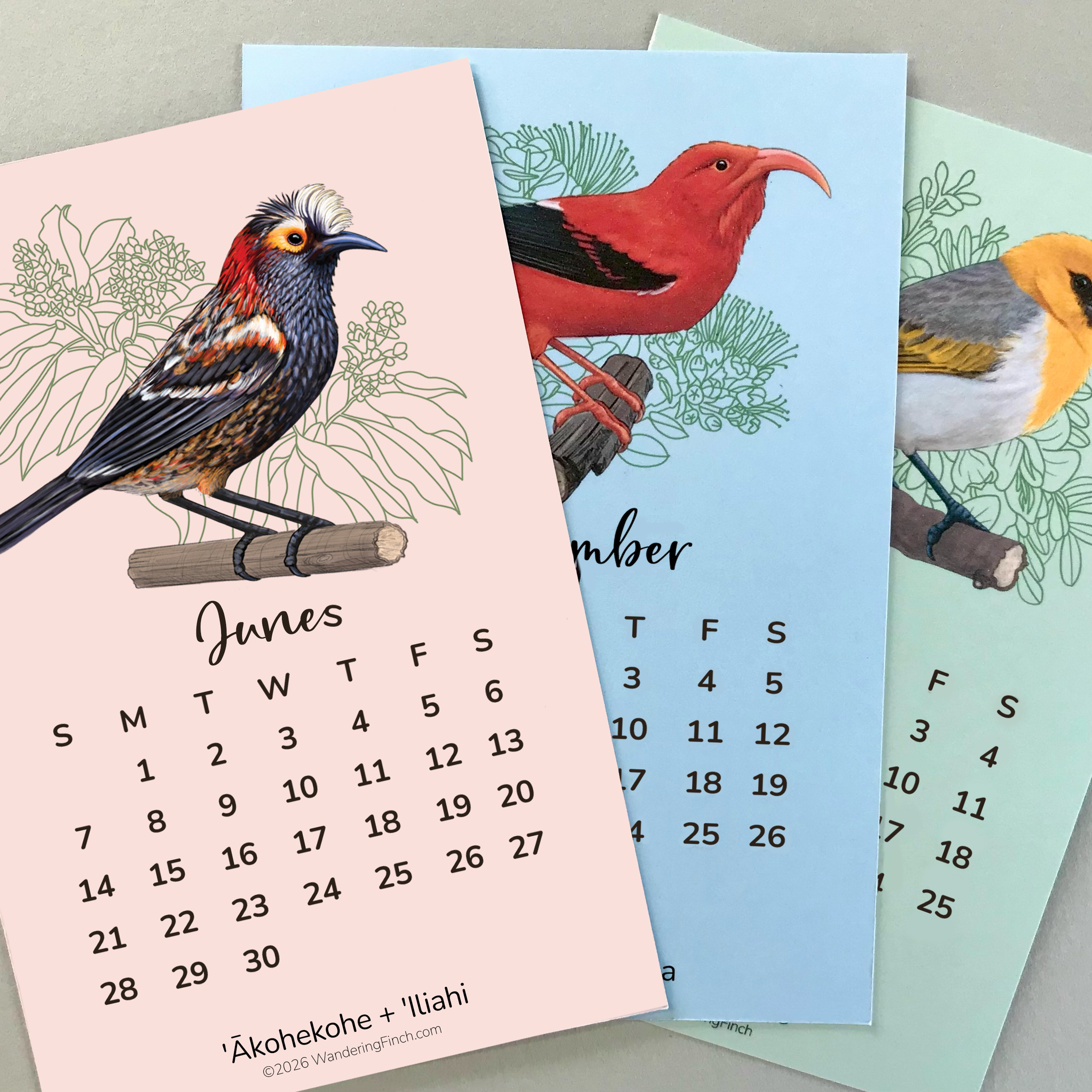 2026 Native Hawaiian Forest Birds & Plants Desk Calendars