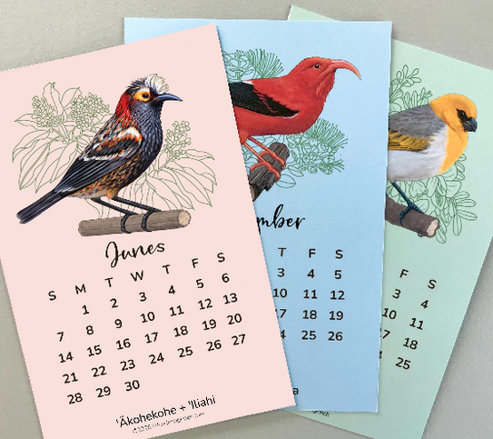 Desk calendar cards with a Hawaiian bird illustrations on pink, blue, and green cardstock.