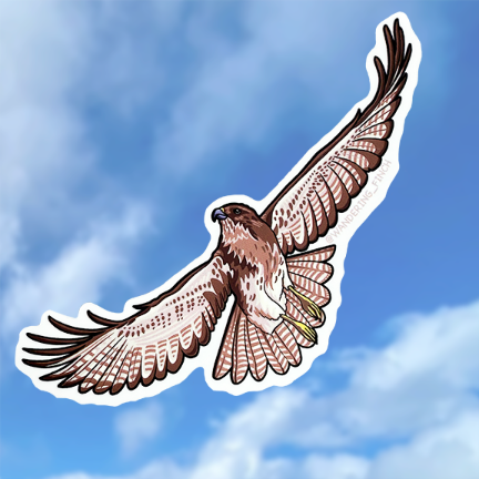 Sticker illustration of a Hawaiian hawk, or 'io, flying.