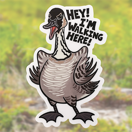 Sticker of nene goose with 'hands on hips' angrily complaining "Hey! I'm walking here!"