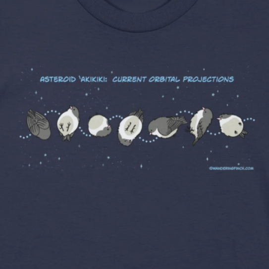 Navy blue t-shirt close up of cartoon design with a little round bird rolling through outer space like an asteroid.