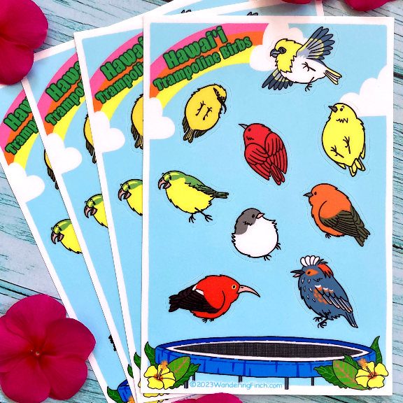 Sticker sheet of cartoon native Hawaiian honeycreepers jumping on a trampoline, with text reading "Hawai‘i Trampoline Birbs."