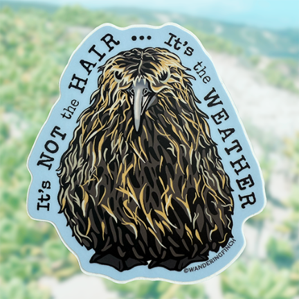 Sticker with a drenched mōlī (moli) Layson albatross chick soaked wet by the rain with the text, "It's no the hair... It's the weather."