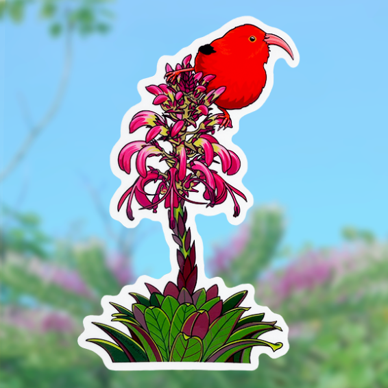 Sticker with a native Hawaiian ‘i’iwi, (iiwi),   red and black bird perched on native blooming lobelia, or lobeliods.