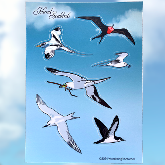 Island Seabirds Sticker Sheet