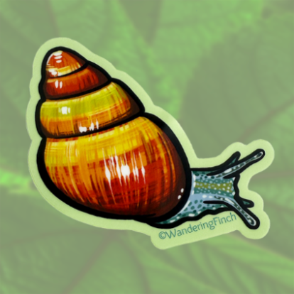 Sticker of a colorful kāhuli, or Hawaiian snail shell illustration with 'Wandering Finch' branding 