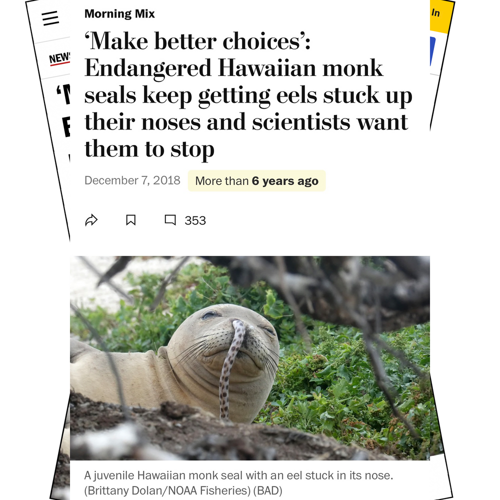 "Make Better Choices" Monk Seal Bookmark