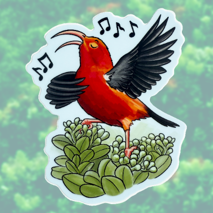 Sticker with a cartoon depiction of a singing native Hawaiian ‘i’iwi, (iiwi), red and black bird on ohia lehua with musical notes.