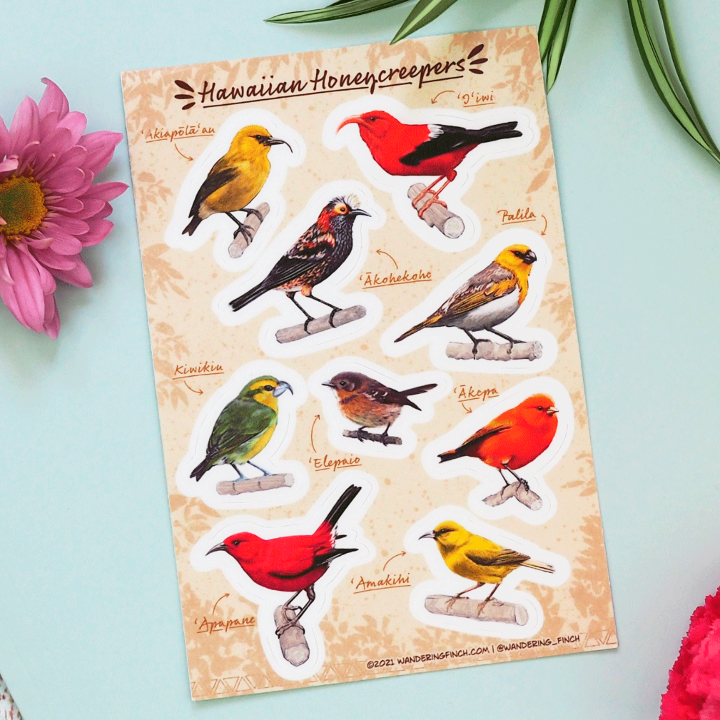 Hawaiian Honeycreepers sticker sheet featuring native Hawaiian forest birds.