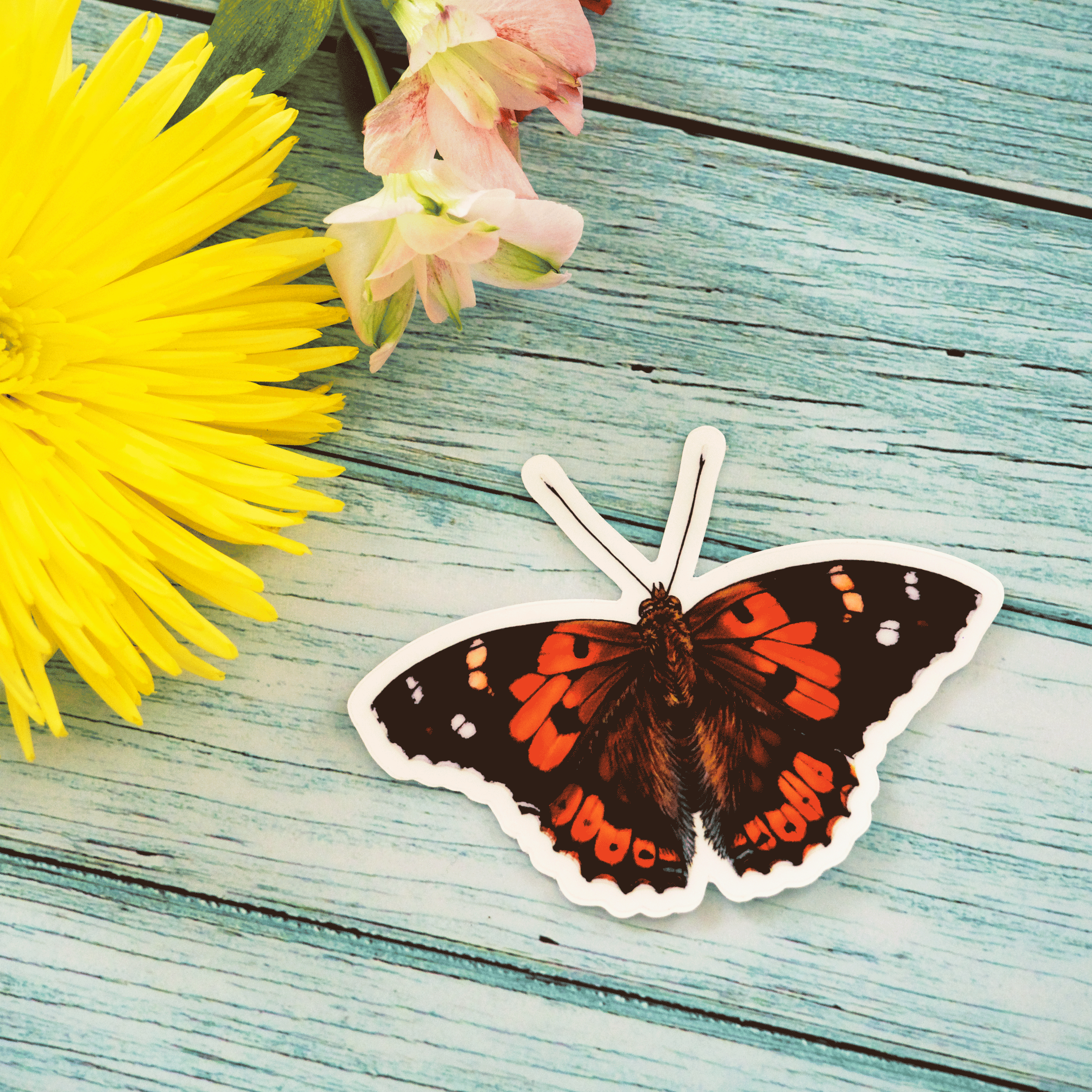 Kamehameha Butterfly Sticker