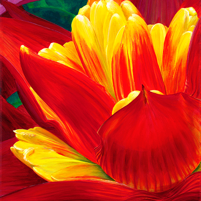 A close up painting of a red, orange, yellow flower.