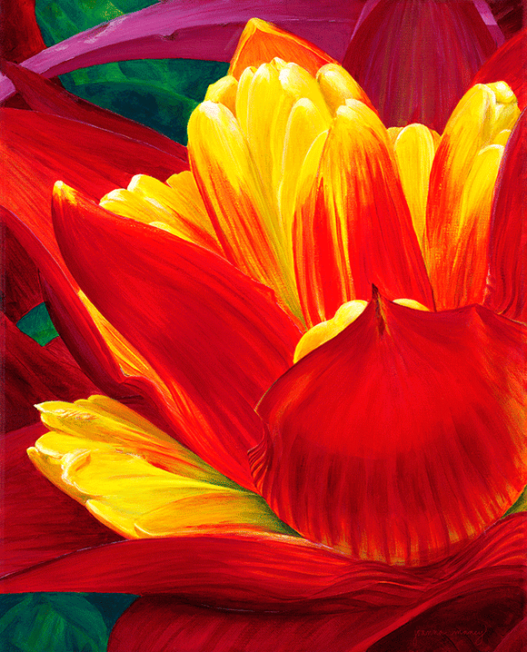 A close up painting of a red, orange, yellow flower.