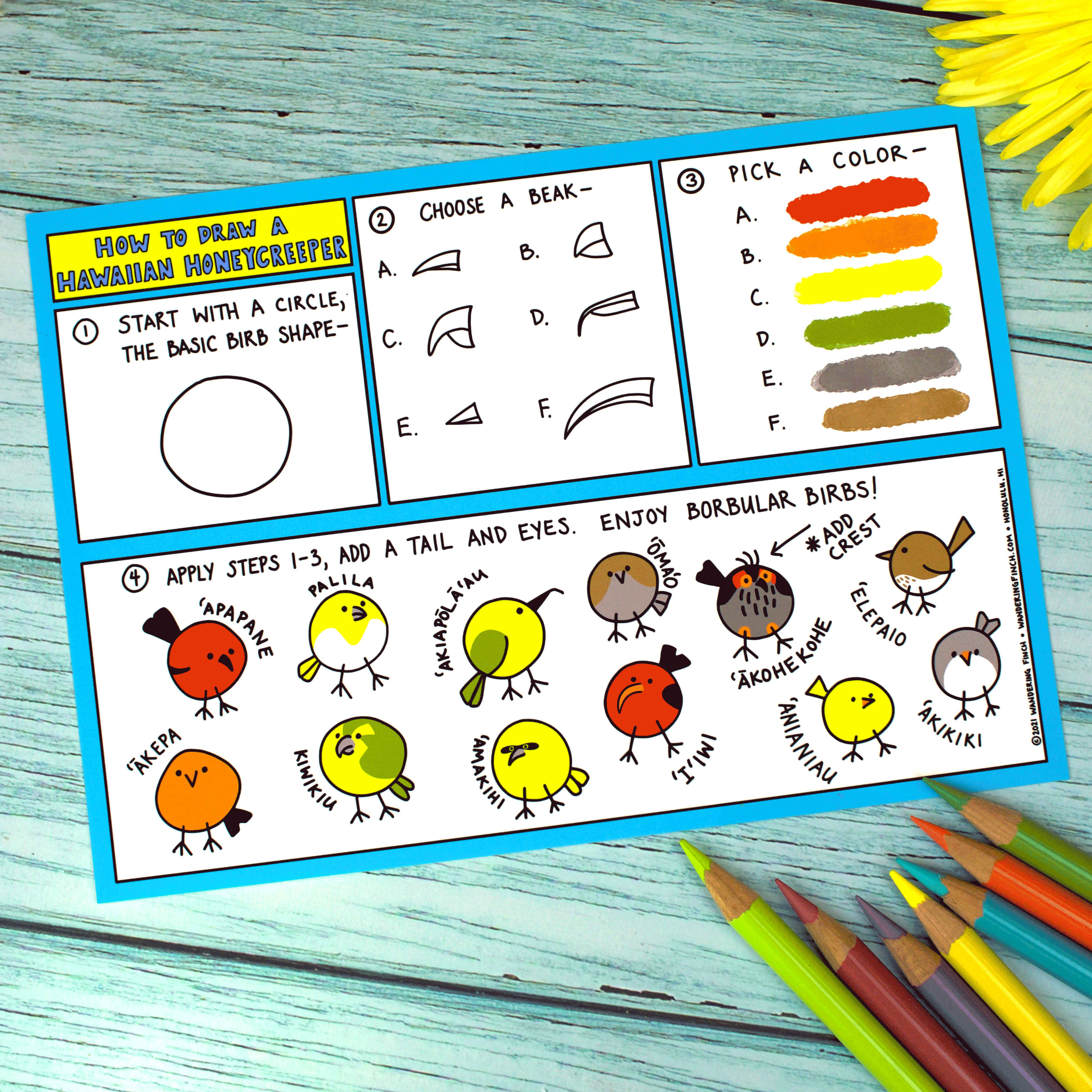 How to Draw a Hawaiian Forest Bird Postcard