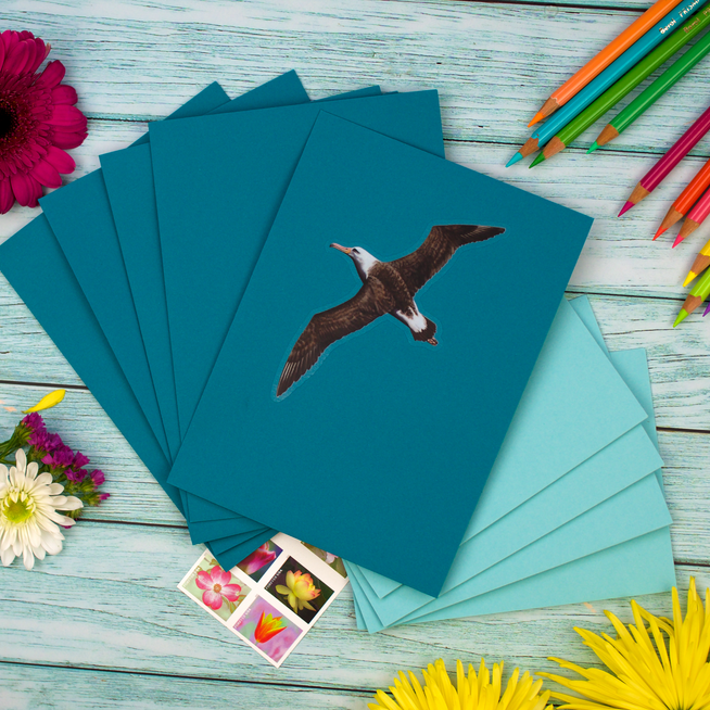 Soaring Mōlī Sticker