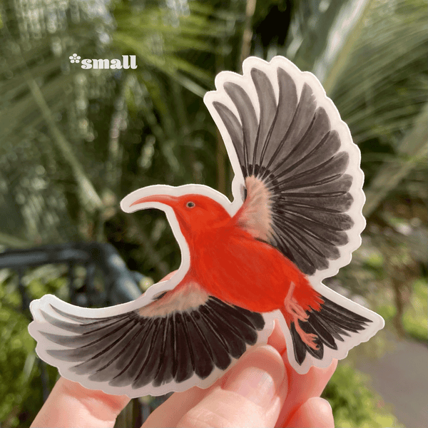 I'iwi in Flight Sticker – WanderingFinch