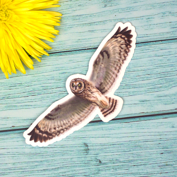 Sticker of a native Hawaiian owl, the pueo, flying.