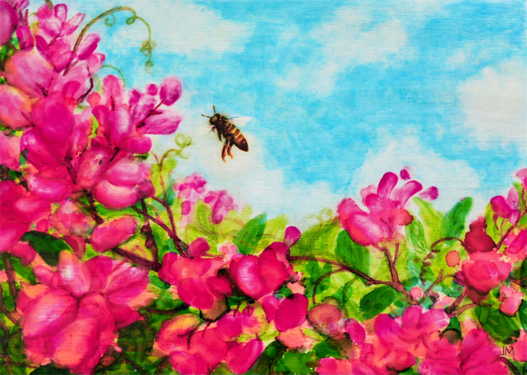 A Hawaiian honeybee hovering over pink flowers with a blue sky and clouds in the background.