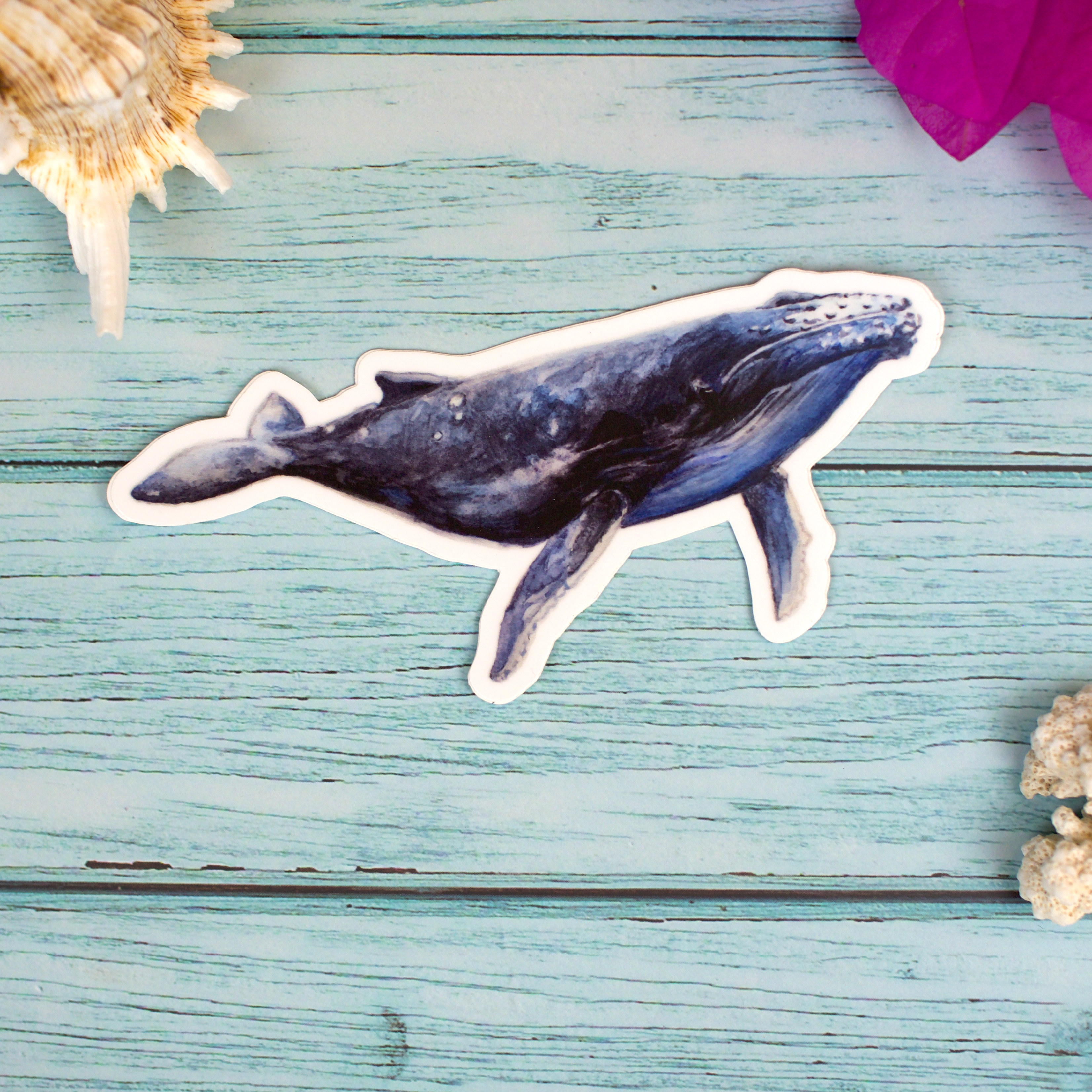 Humpback Whale Sticker