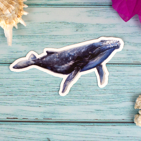 Sticker of a watercolor painting of a humpback whale.